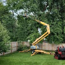 Best Utility Line Clearance  in Revere, MA